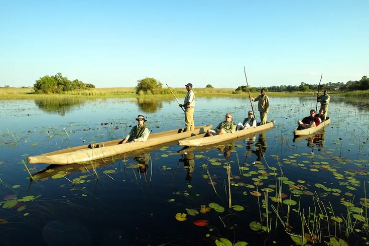 Experience Botswana The Cazenove+loyd Way   Luxury Botswana