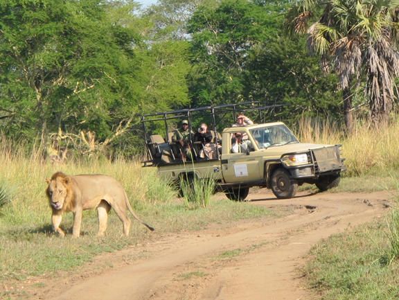 Mozambique Overland Tour Packages   Mozambique Tour