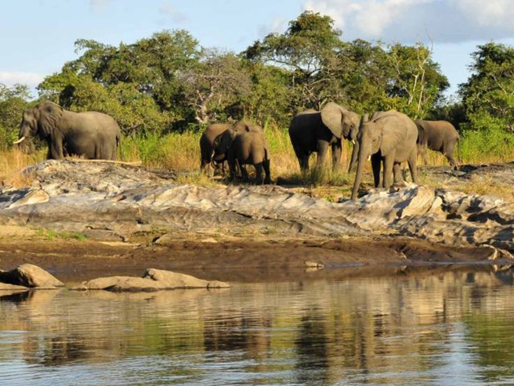 Mozambique  For The Really Wild Show, Look North