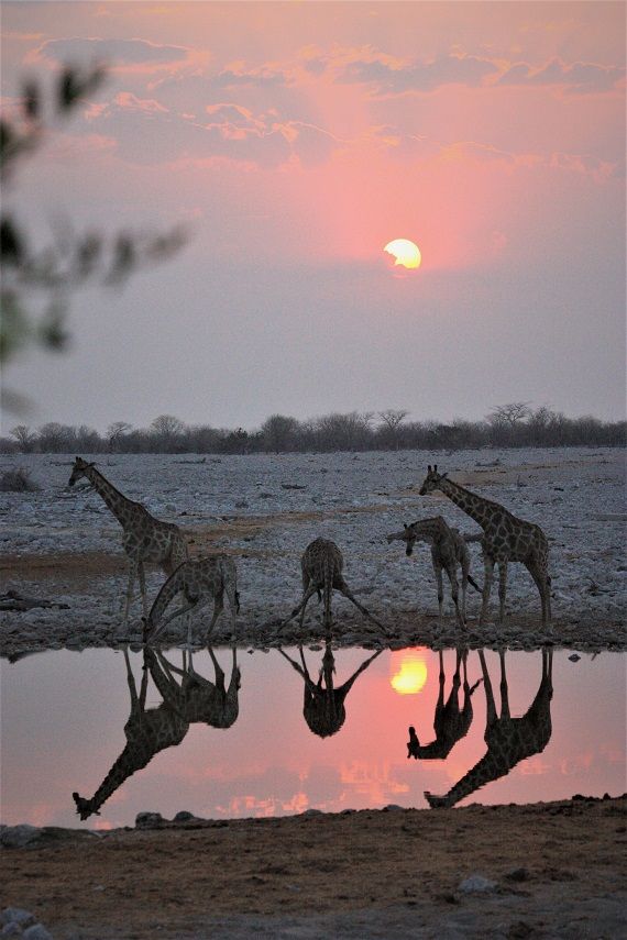 Namibia Highlights   Tour Für Einsteiger   Namibialiebe