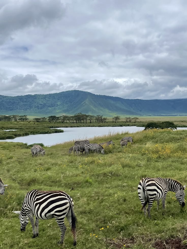 Ngorongoro Crater 🇹🇿