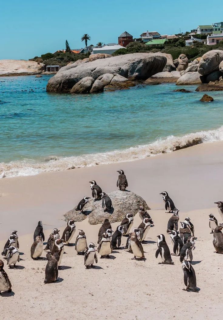 South Africa Travel Guide  Plan The Ultimate Trip