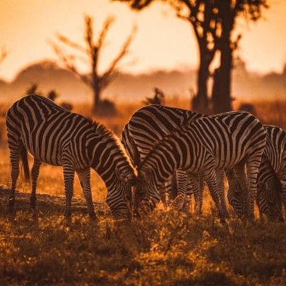 Wake Up To The Sounds Of Nature And The Sight Of…