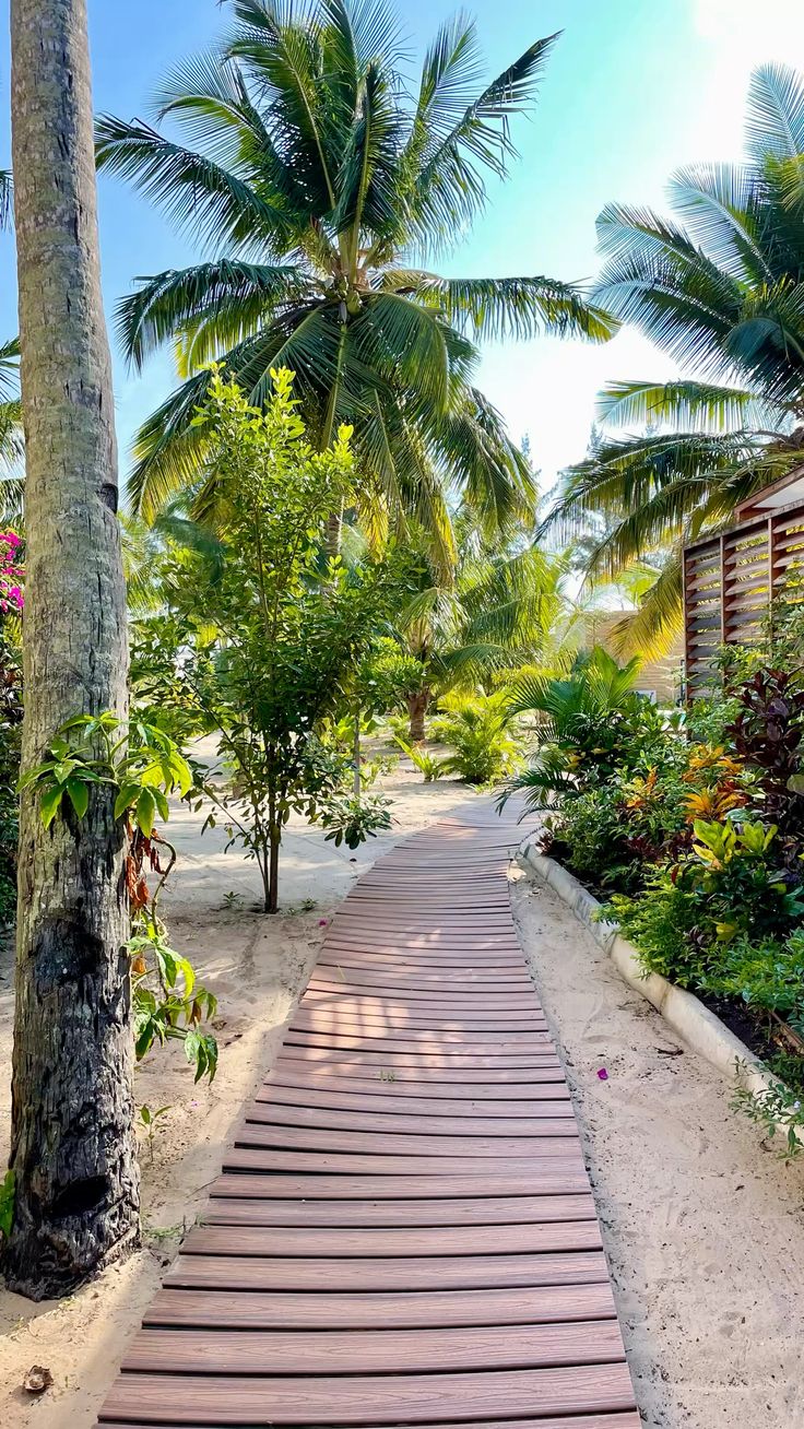 Winter In Mozambique🌴