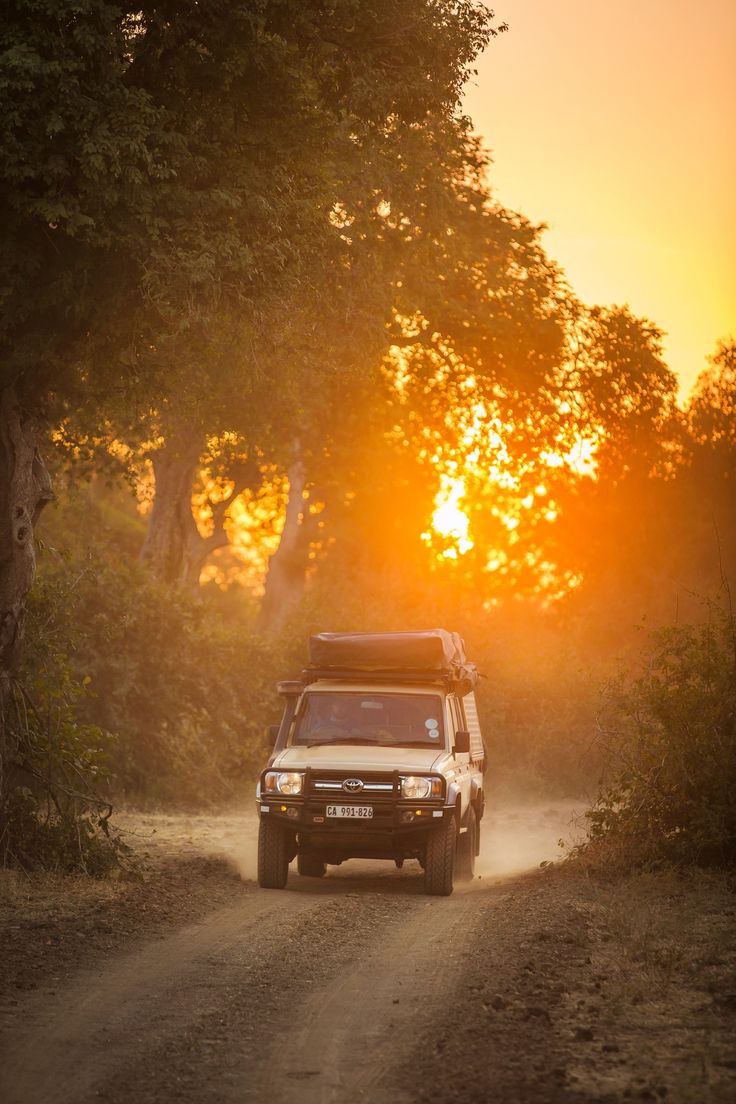 Zambia Travel
