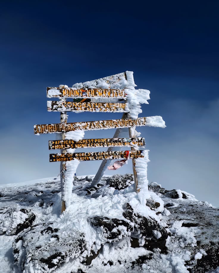 6 Day Kilimanjaro Umbwe Route   Steep, Direct & Advanced Summit Challenge