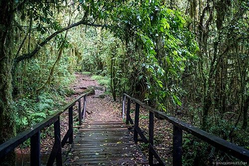 Marangu Route  Climbing Kilimanjaro In 5 Days