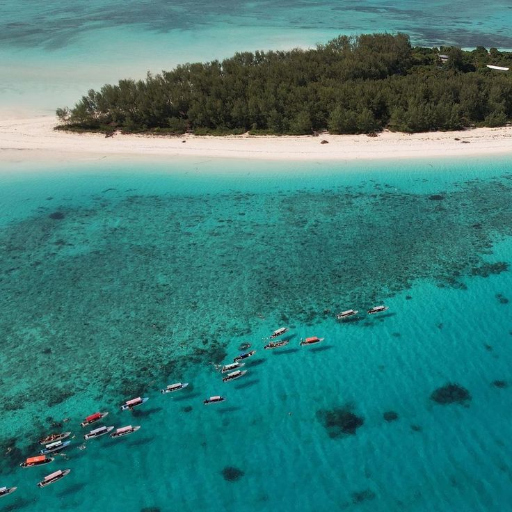 Mnemba Island