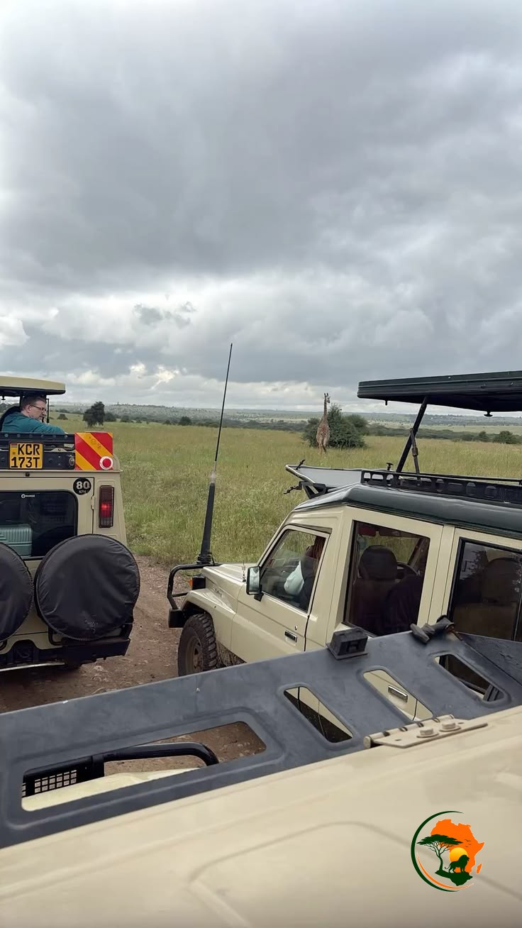Maasai Mara to Nairobi