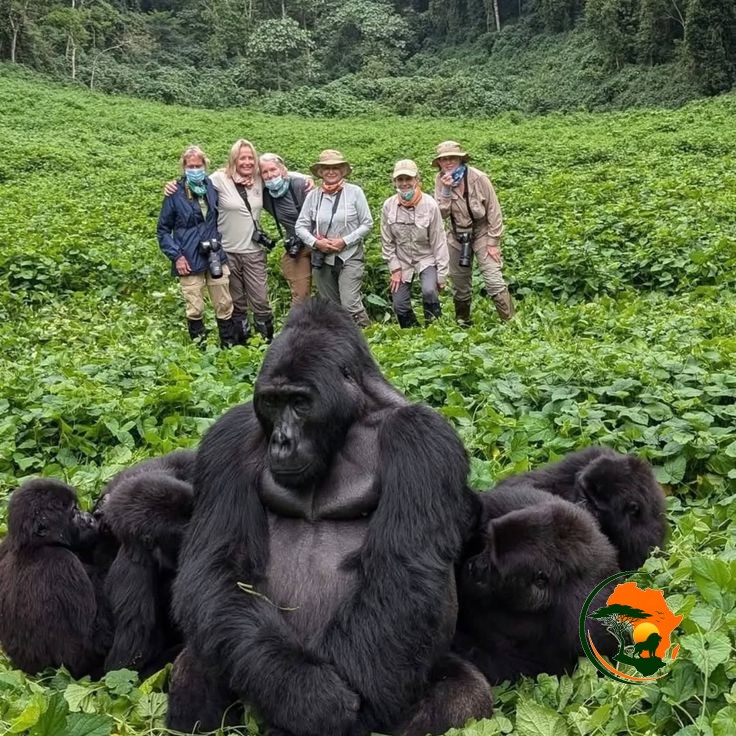 Volcanoes National Park to Kigali