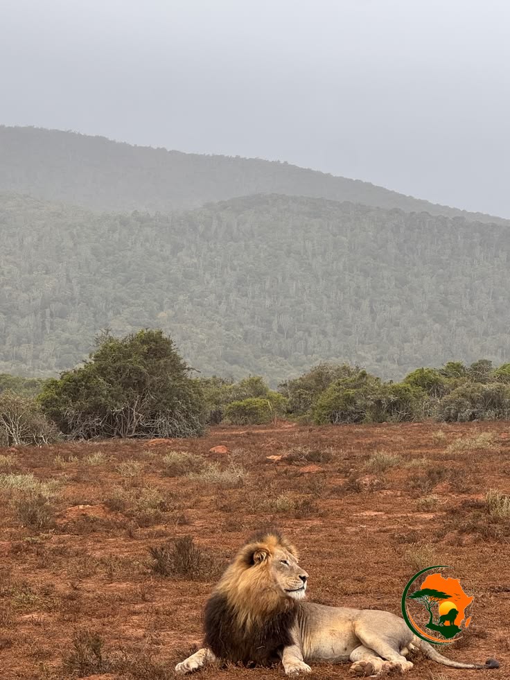 Amboseli – Tsavo East National Park