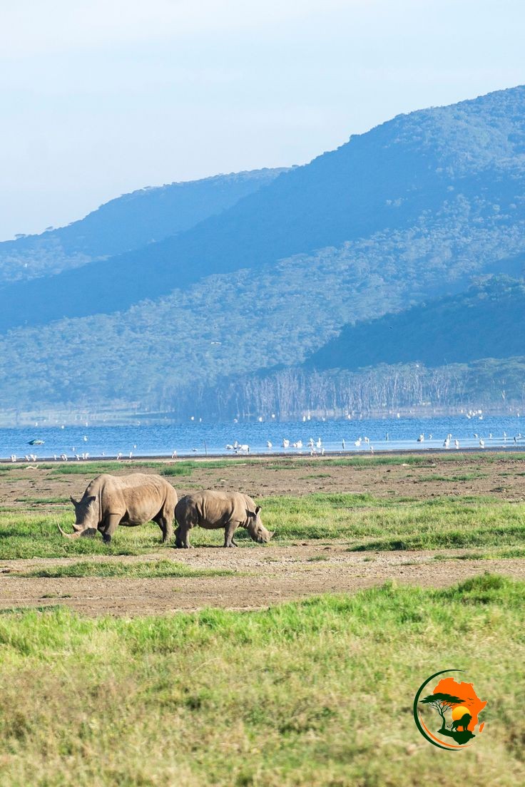 Lake Nakuru – Nairobi