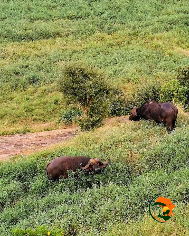 Nairobi/Mombasa – Tsavo East National Park