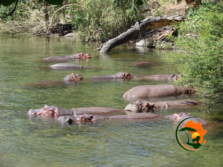 Tsavo East – Taita Hills Wildlife Sanctuary / Salt Lick Safari Lodge