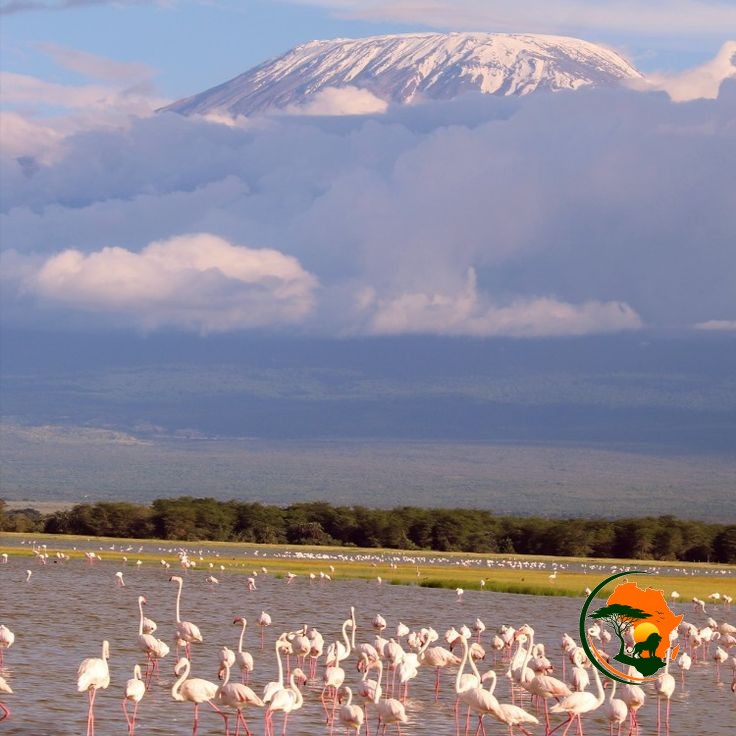 Nairobi – Amboseli National Park