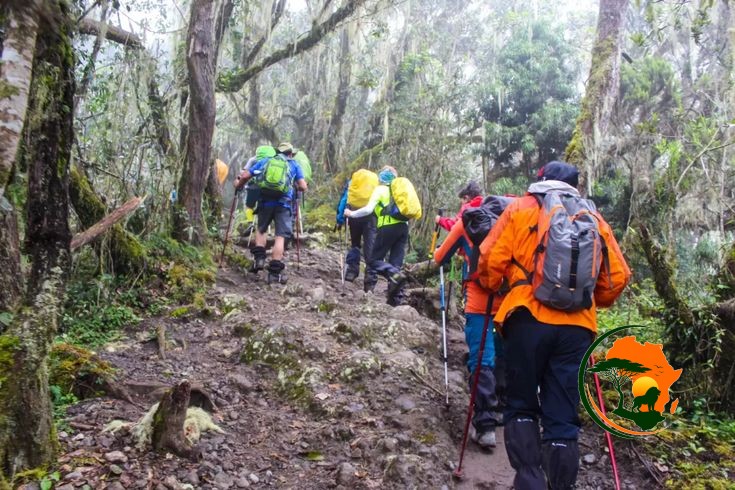 Londorossi Gate – Mti Mkubwa Camp (2,650m)