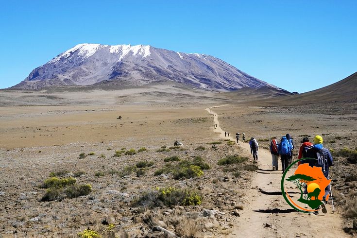 Mti Mkubwa Camp – Shira 1 Camp (3,610m)