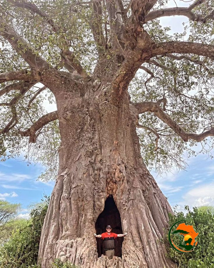 Arusha – Tarangire National Park