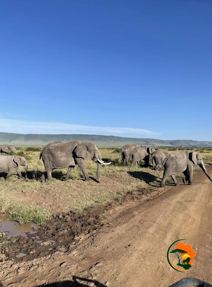 Karatu – Serengeti National Park