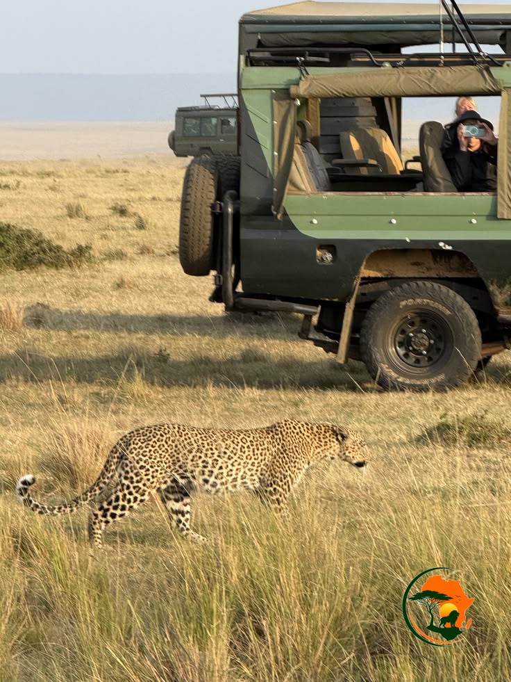 Serengeti – Ngorongoro Highlands