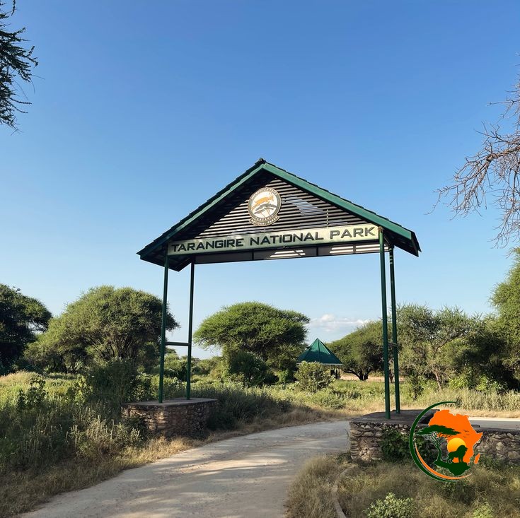 Private Tarangire National Park Experience