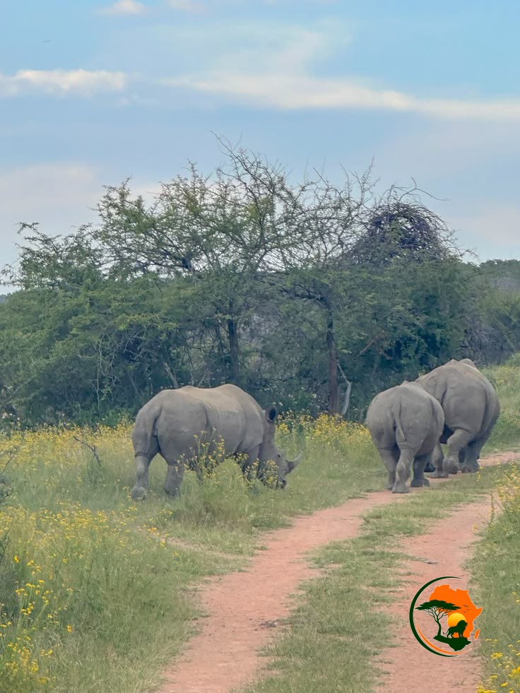 Journey to Mikumi – Into the Wild Plains