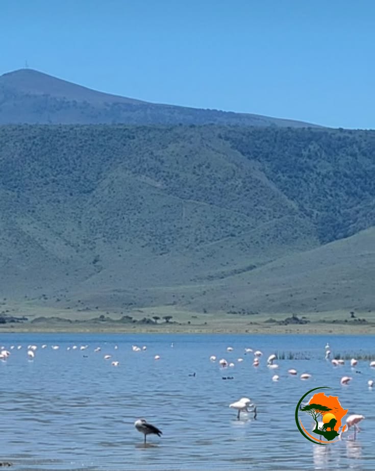 Serengeti – Ngorongoro Crater Rim