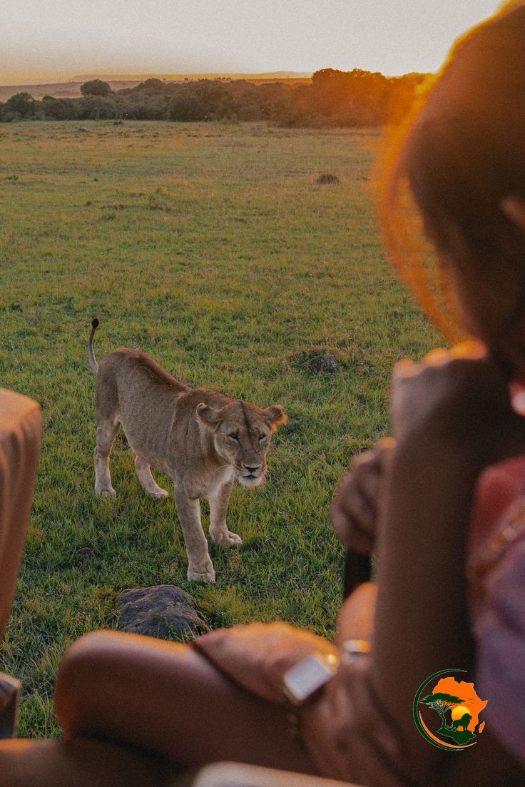 Ngorongoro Crater Safari