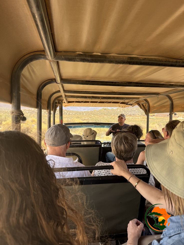 Full-Day Maasai Mara Safari Experience