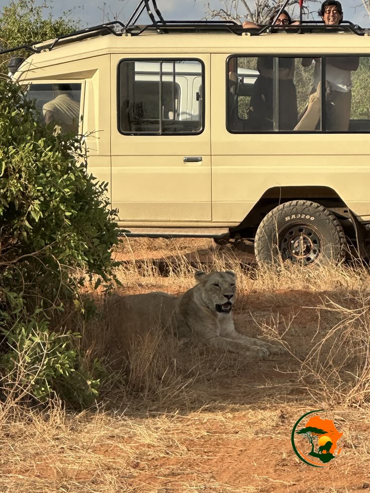 Serengeti Deep Exploration Safari