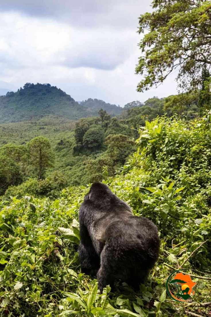 Cultural Experience – Return to Kigali