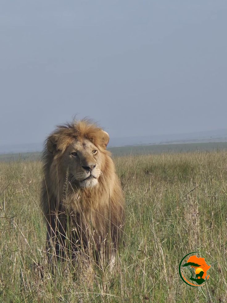 7-Day Magical Kenya Safari