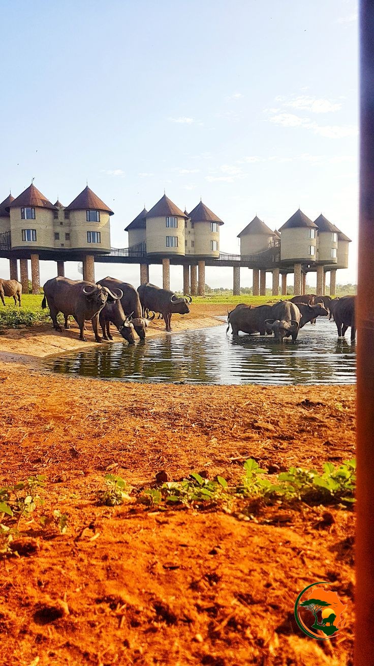 3 Days Tsavo East & Salt Lick Safari – Kenya