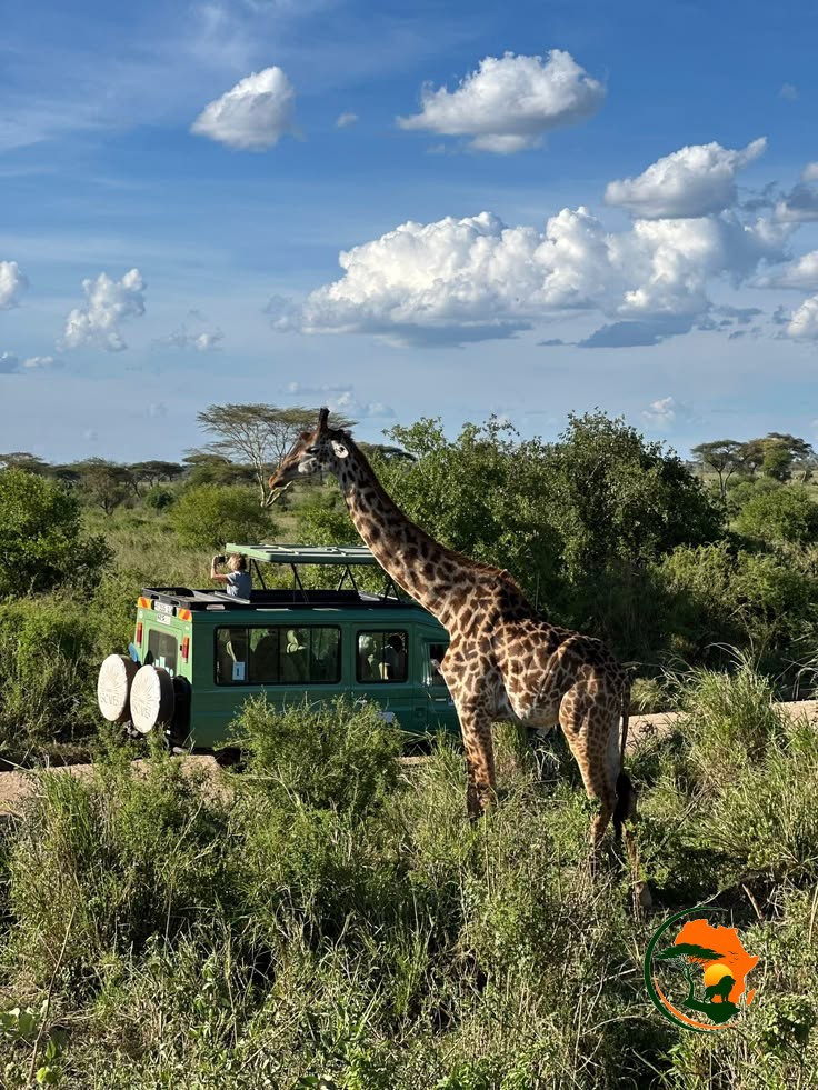 3 Days Amboseli Ultimate Safari – Kenya.