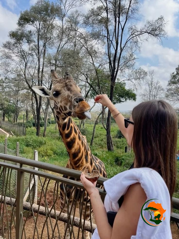 1 Day Nairobi City & Wildlife Experience – Kenya (Urban Safari Escape)