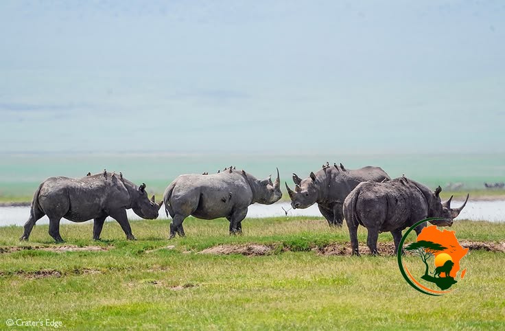 5 Days Serengeti & Ngorongoro Explorer Safari – Tanzania