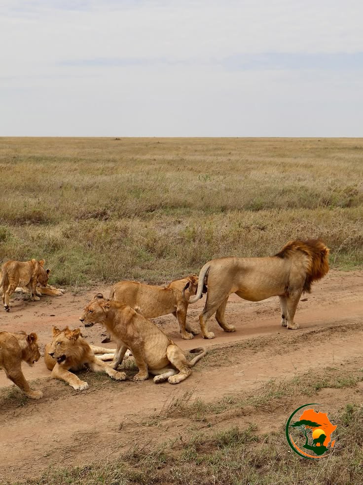 3 Days Serengeti Classic Safari – Tanzania