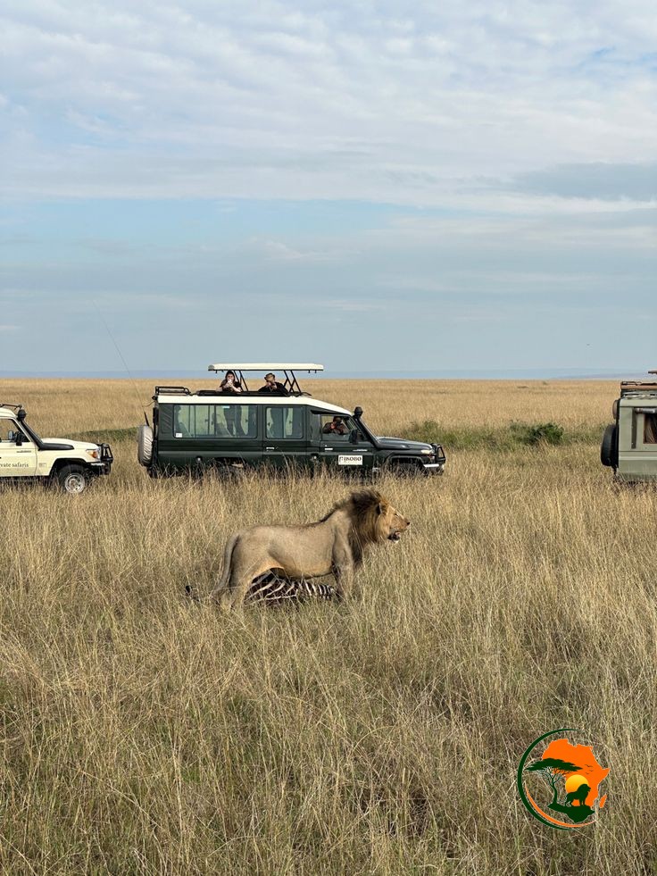   6 Days Serengeti & Zanzibar Combo – Tanzania