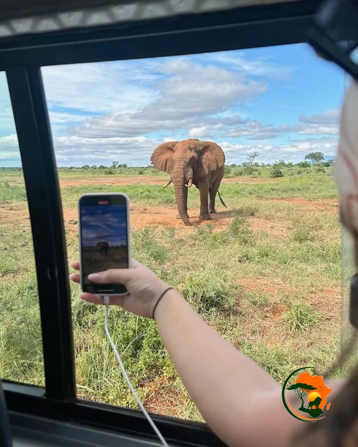  10 Days Tanzania Bush, Beach & Culture Experience