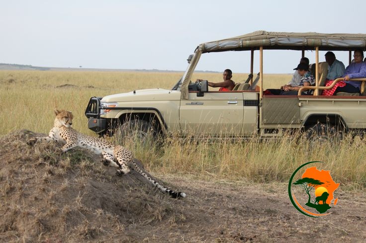  11 Days Kenya & Tanzania Safari Experience Nairobi National Park | Giraffe Centre | Maasai Mara | Lake Nakuru | Amboseli | Serengeti
