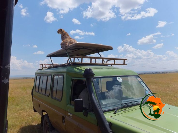  12 Days Kenya • Tanzania • Zanzibar Safari Experience