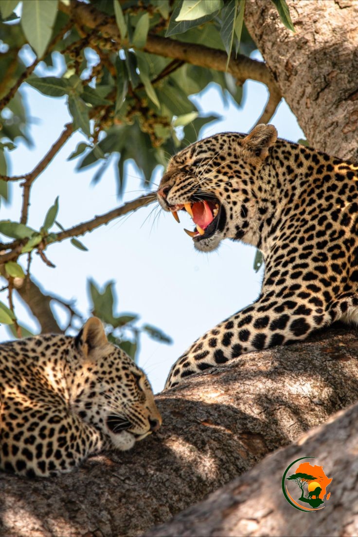  14 Days Ultimate Kenya • Tanzania • Zanzibar Expedition