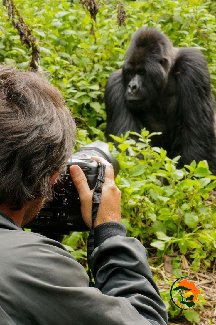 3 Days Uganda Gorilla Experience Bwindi Impenetrable Forest National Park – Uganda