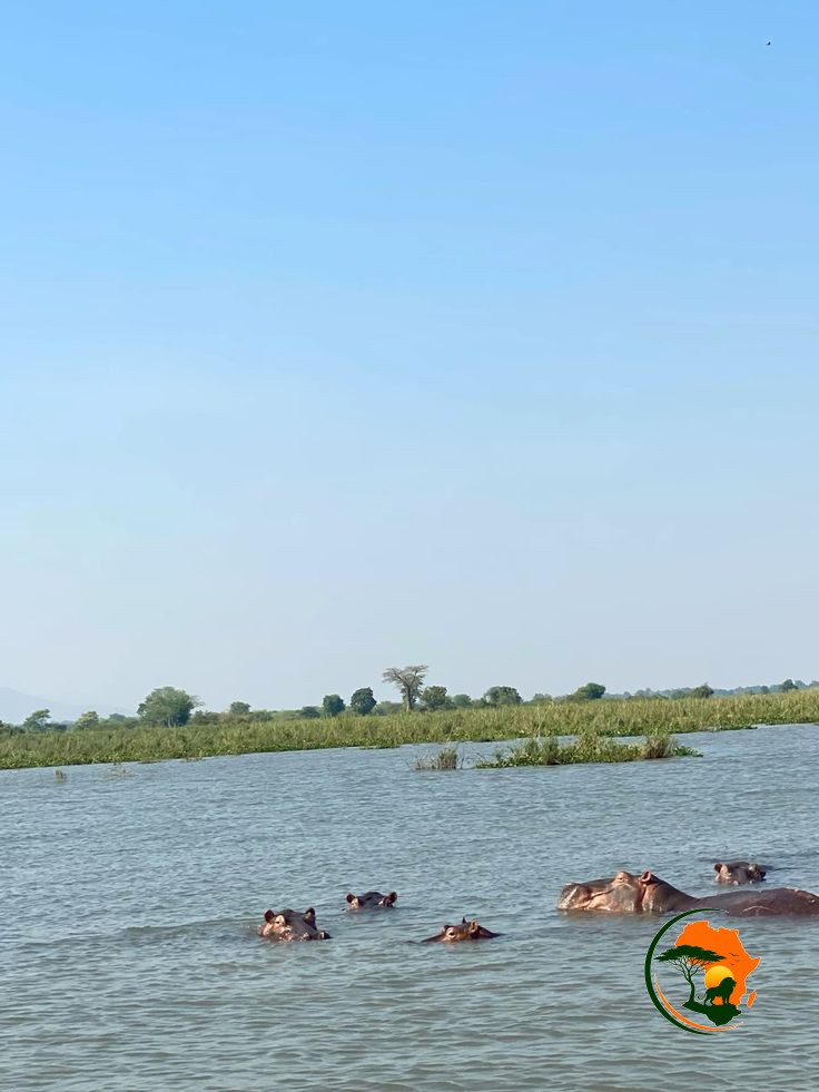 17 Days Rwanda/Uganda/Kenya/Tanzania & Zanzibar Becah Holiday