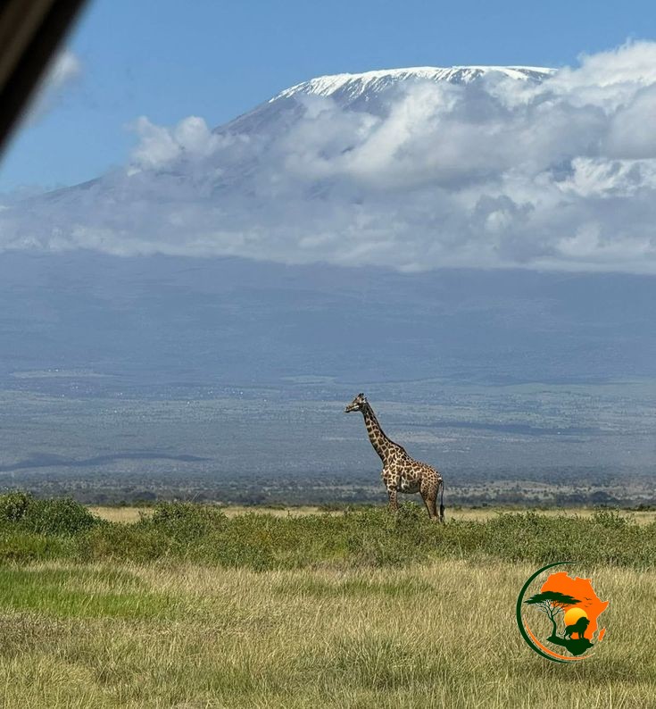2 Days, 1 Night Amboseli National Park Lodge Safari