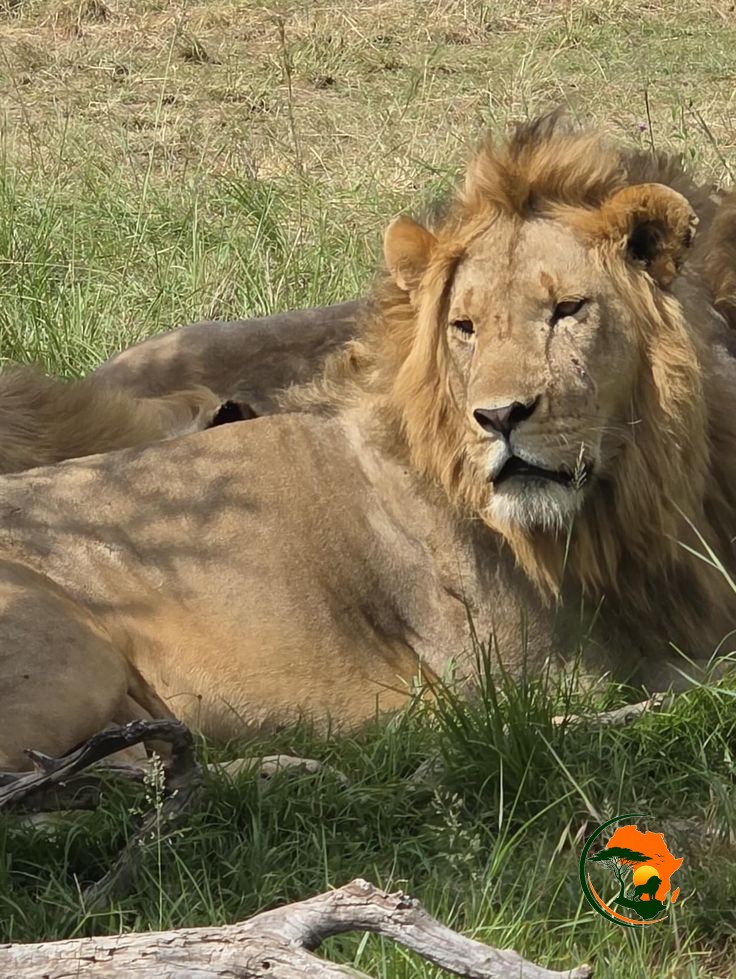 Kenya