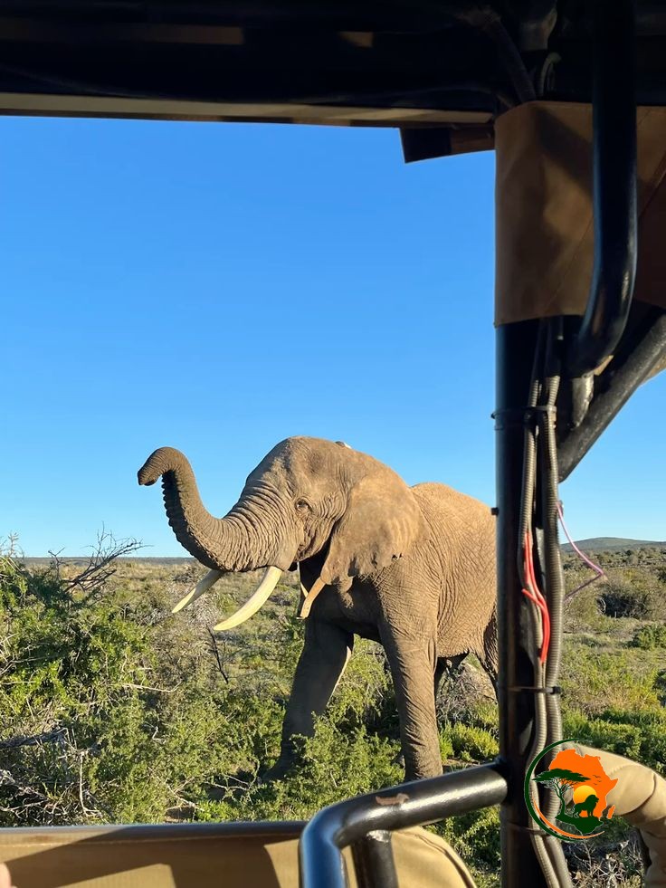 Kenya & Tanzania 