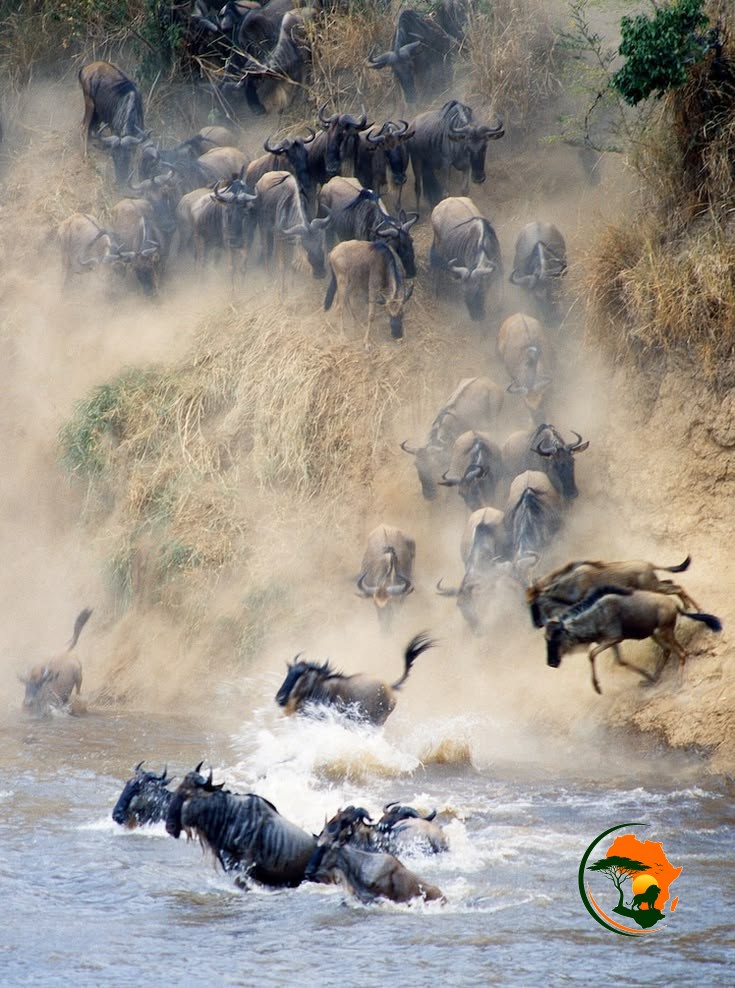 The Great Migration